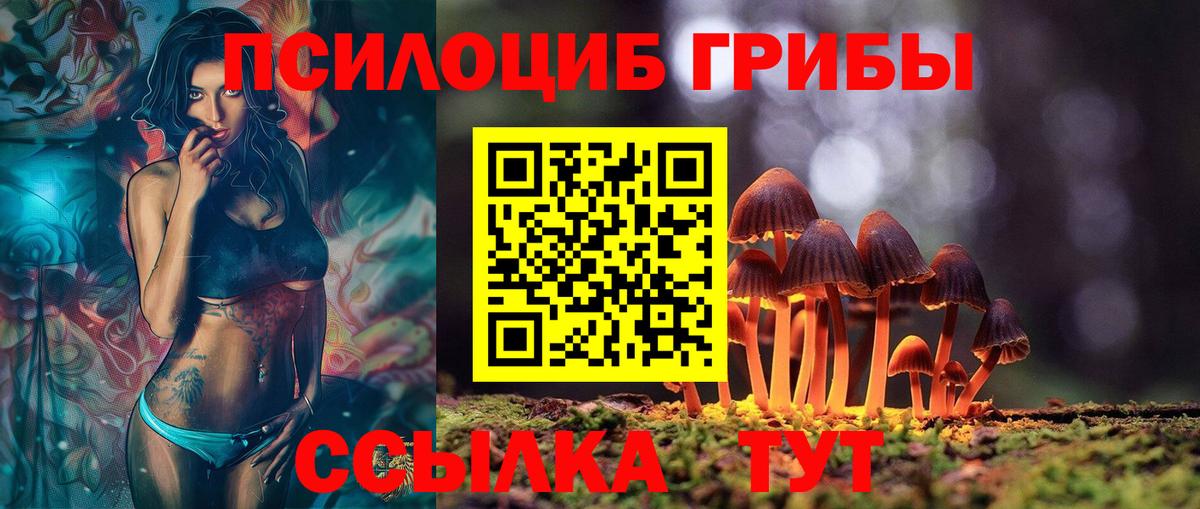 Галлюциногенные грибы MAGIC MUSHROOMS  Галлюциногенные грибы MAGIC MUSHROOMS  Тимашёвск  Вход с VPN 