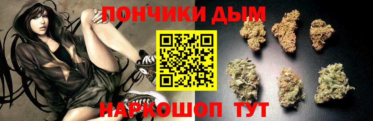 Марихуана сатива Тимашёвск