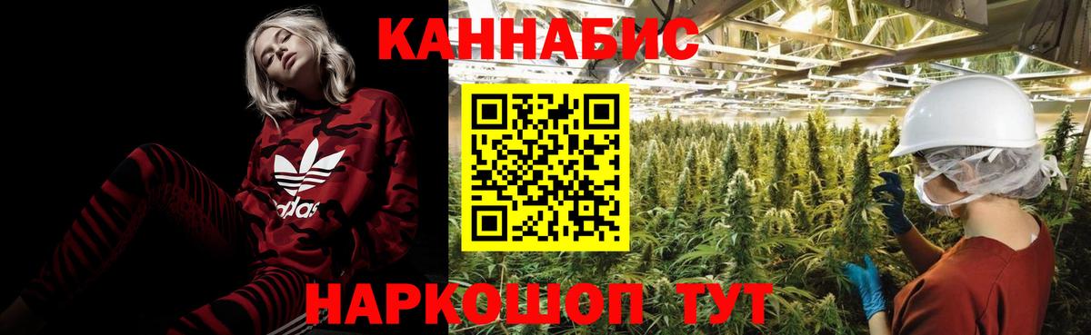 Шишки марихуана MAZAR  Конопля ГИДРОПОН  Шишки марихуана планчик  Вход с VPN  Тимашёвск  Канабис индика 